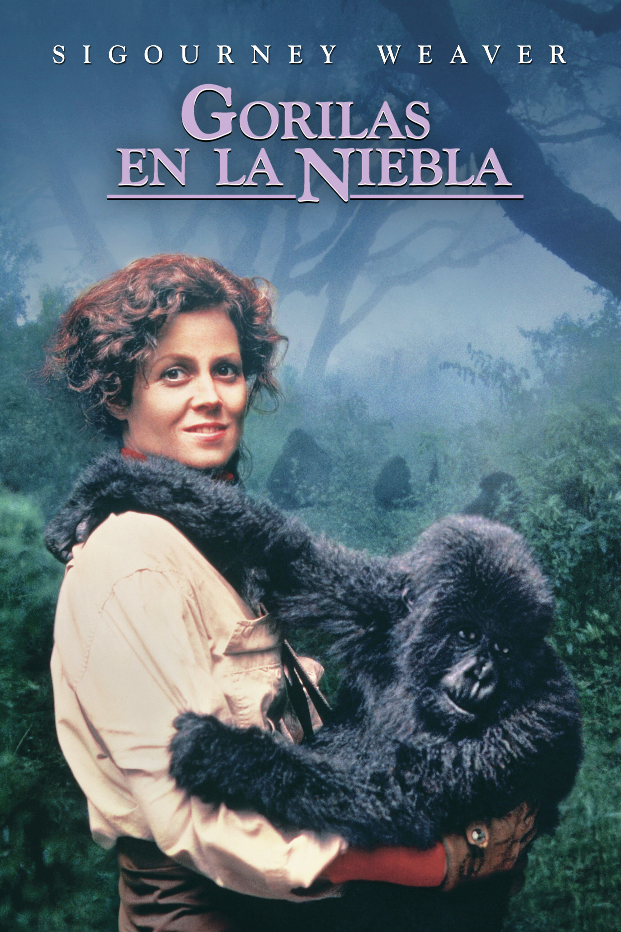 Key Art: Gorilas en la niebla